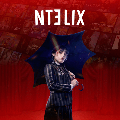 Netflix Account 1 Profile + Code Pin 3 Mois